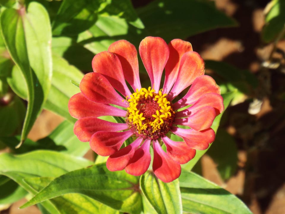 Blume Namib Desert Lodge