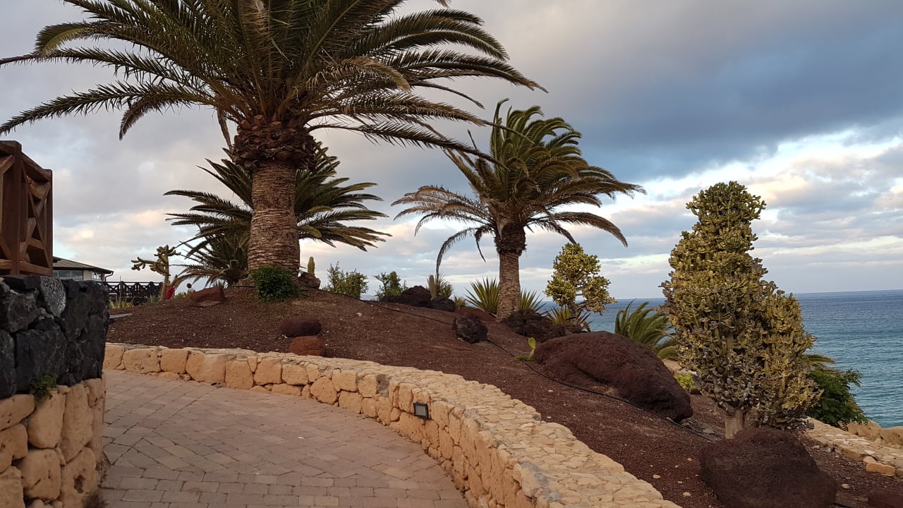 Gartenanlage R2 Pajara Beach