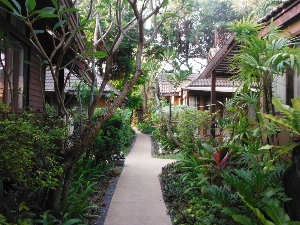 Weg Richtung Pool/Restaurant Samui Paradise Chaweng Beach Resort & Spa