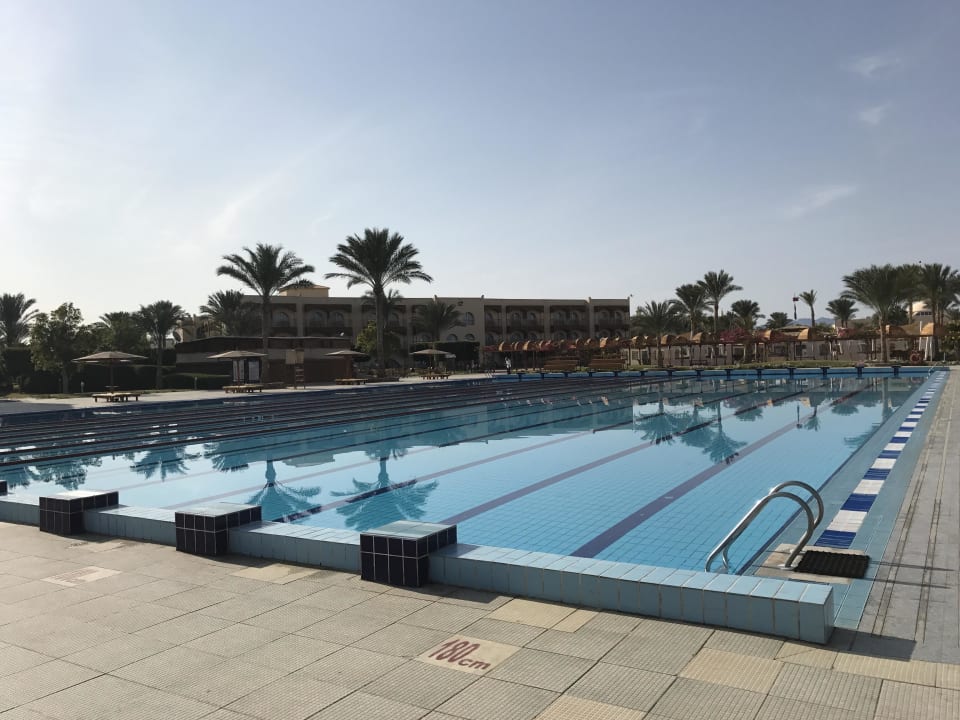 Für Bahnenschwimmer Desert Rose