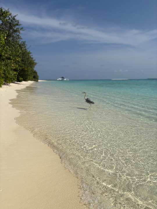 Strand Komandoo Island Resort & Spa - Adults only