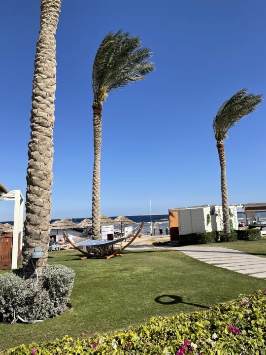 Strand Rixos Sharm El Sheikh Adults Only 18 +