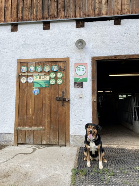 Sonstiges Wohlfühlurlaub am Bauernhof Unterbichl