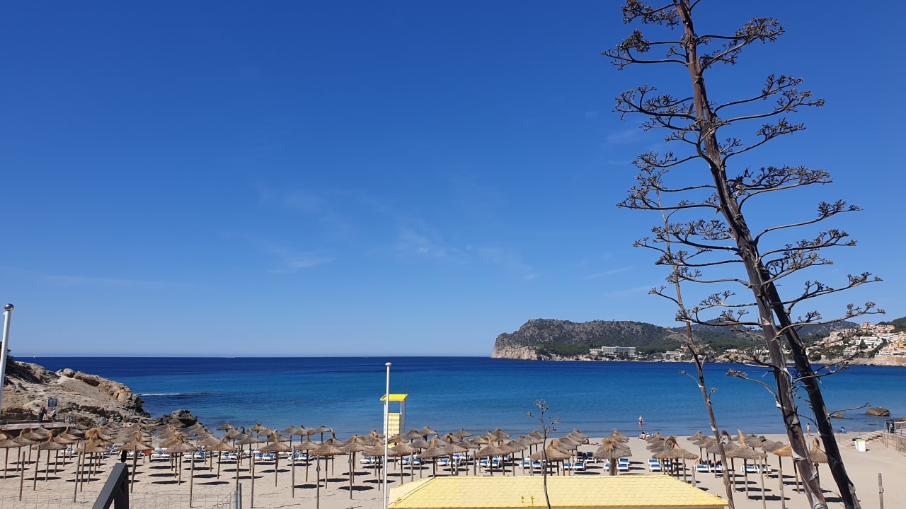 Strand allsun Hotel Bella Paguera