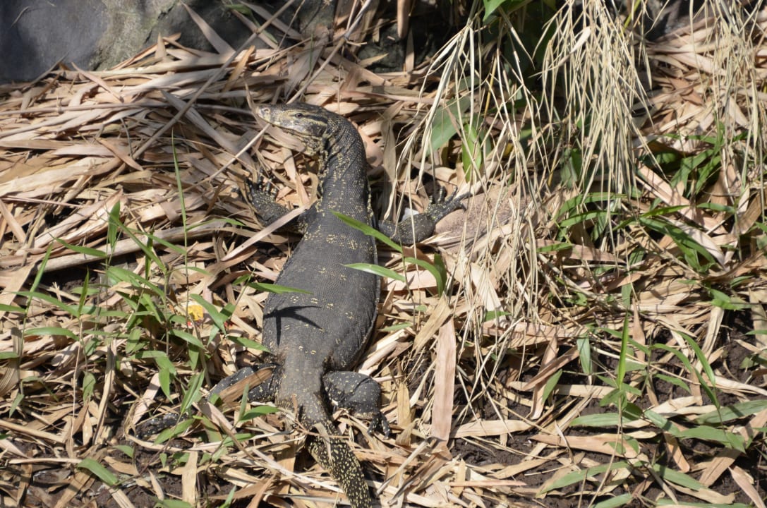 Waran Saraswati Holiday House