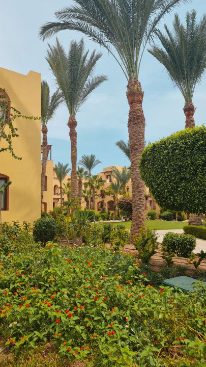 Gartenanlage Steigenberger Coraya Beach - Adults only