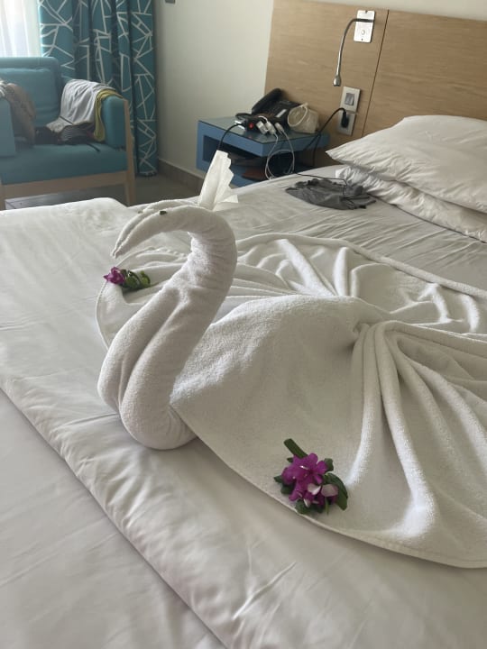 Zimmer Novotel Marsa Alam Beach Resort