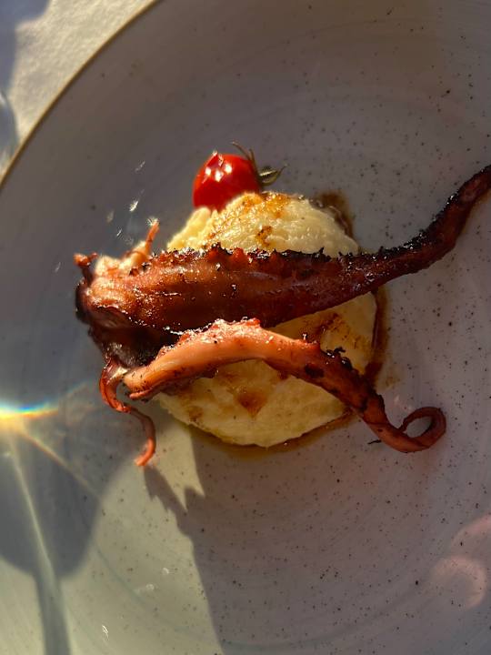 Gastro ROBINSON QUINTA DA RIA