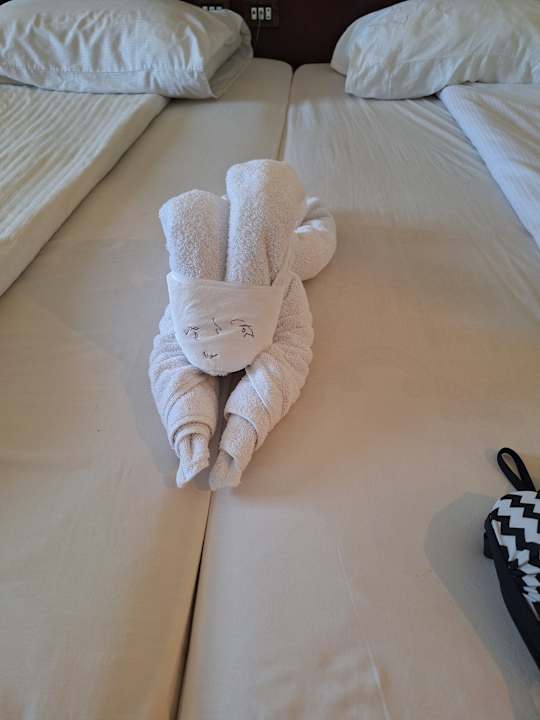 Zimmer Coral Sun Beach