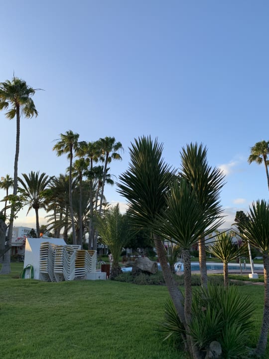 Gartenanlage Sahara Beach Club