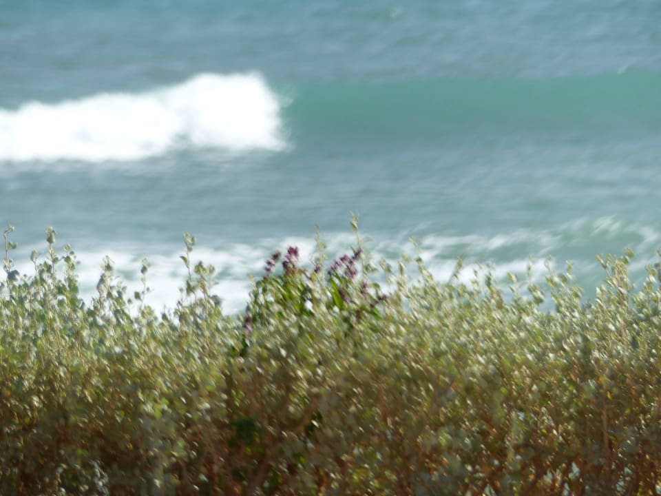 Welle Three Corners Equinox Beach Resort