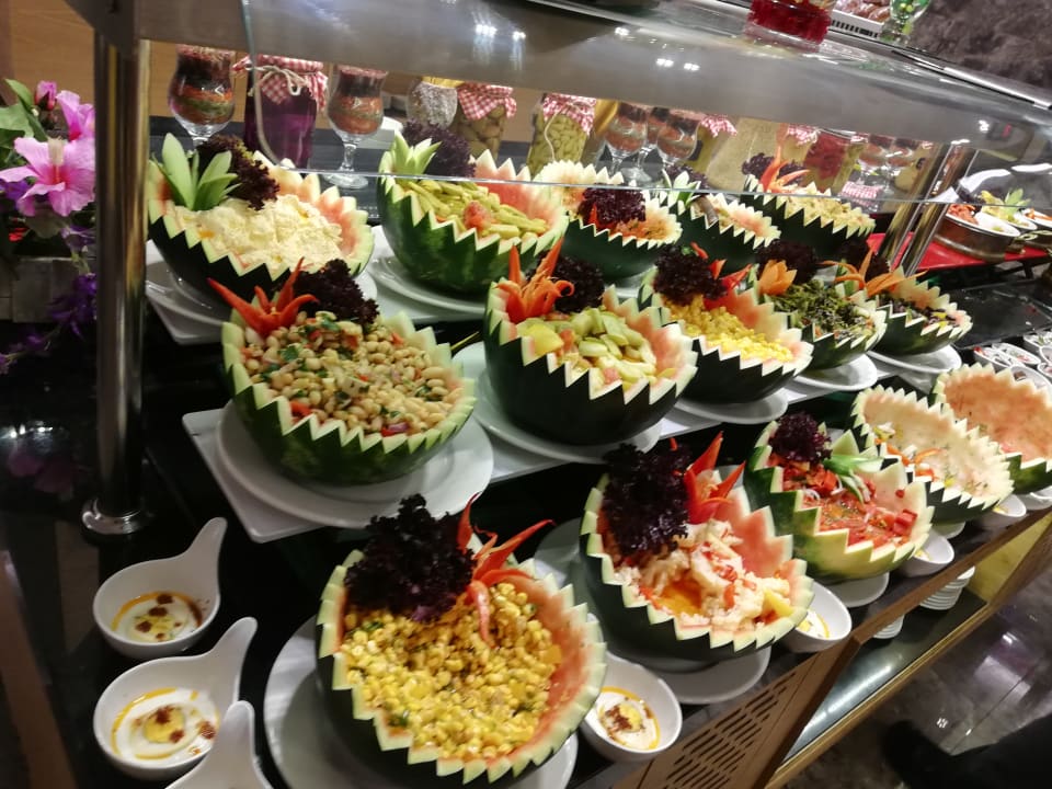 Gastro Seashell Vega