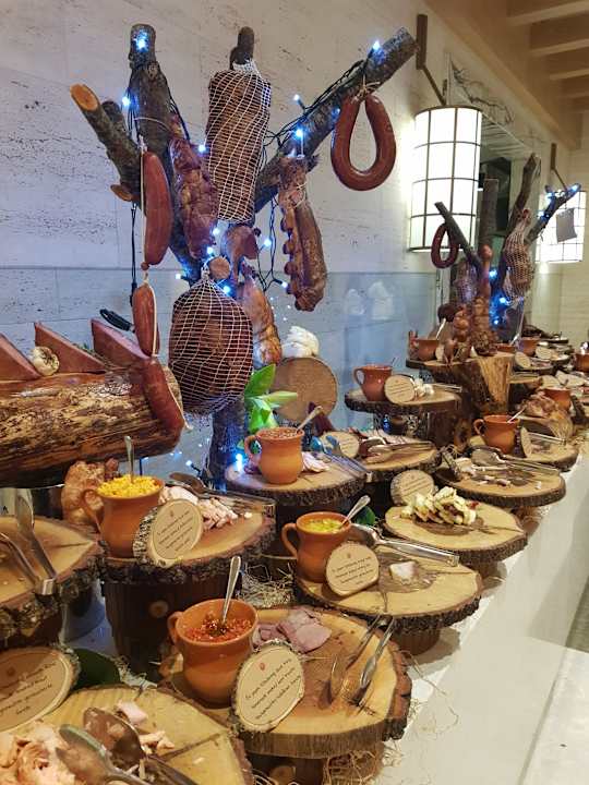 Gastro Acanthus Cennet Barut Collection