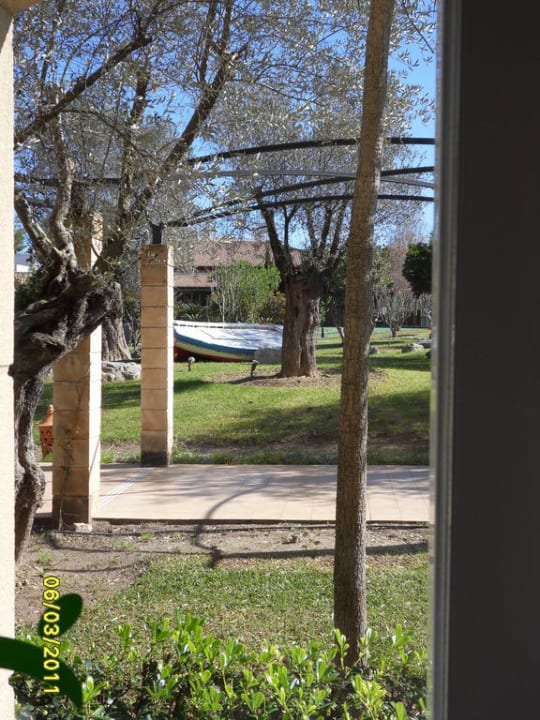 Pool und Garten Prinsotel La Dorada