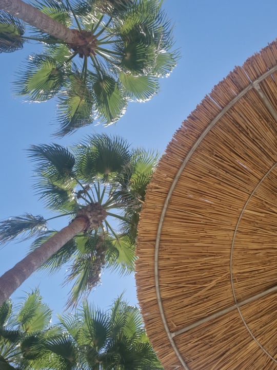 Strand Seven Seas Palmeras Bay Alanya