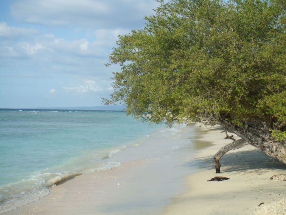 Strandblick Hotel Vila Ombak