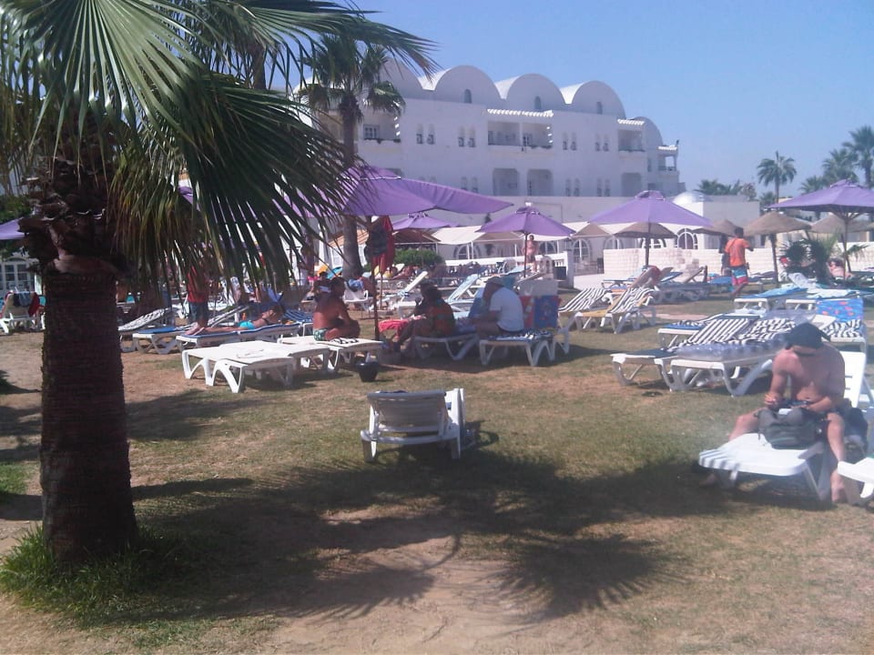 Liegewiese am Pool Alassio Hotel and Thalasso