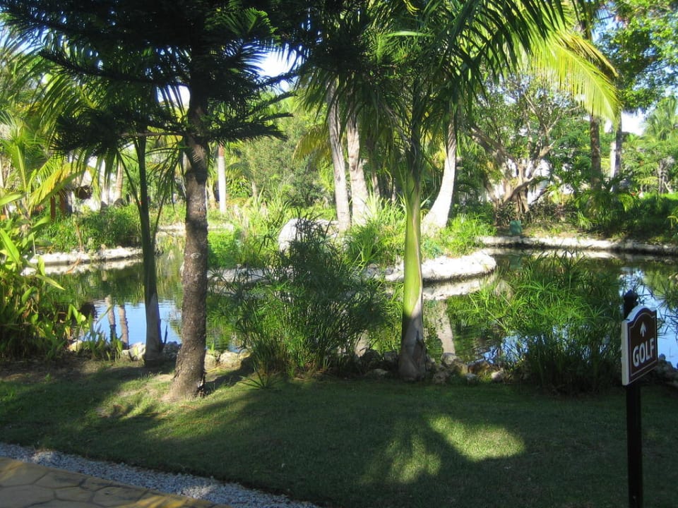 Teich in der Gartenanlage Catalonia Punta Cana - All Inclusive