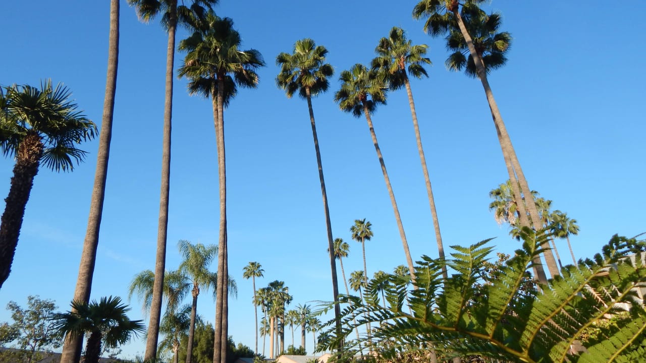 Gartenanlage Best Western Hotel Pine Tree Motel