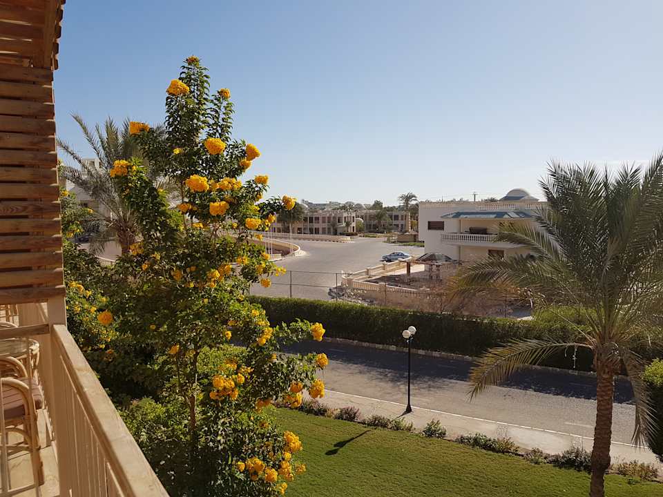 Ausblick Desert Rose