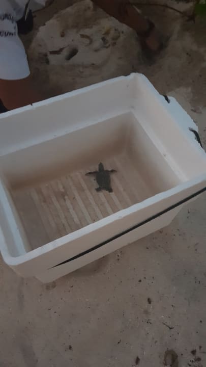 Sonstiges Akumal Bay Beach & Wellness Resort