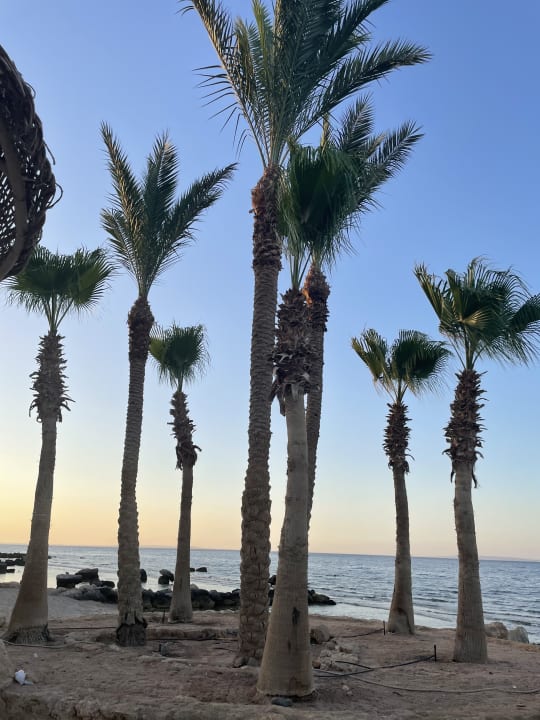 Strand Pickalbatros Citadel Resort