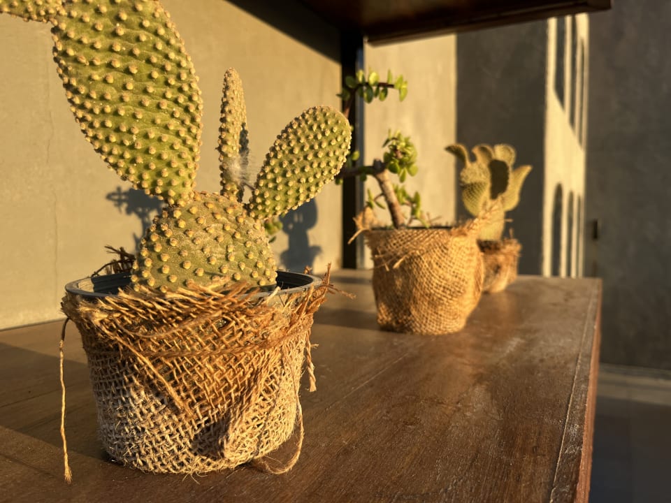 Sonstiges Sunrise Tucana Resort - Grand Select