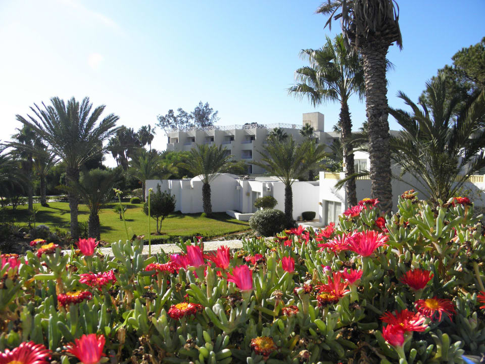 ...schöner Gartenblick... Steigenberger Marhaba Thalasso Hammamet