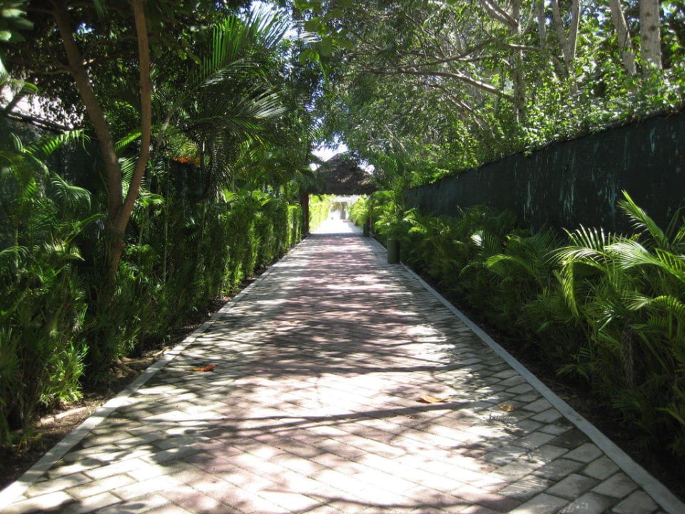 Weg zum Hotel Strand Hotel Riu Tequila