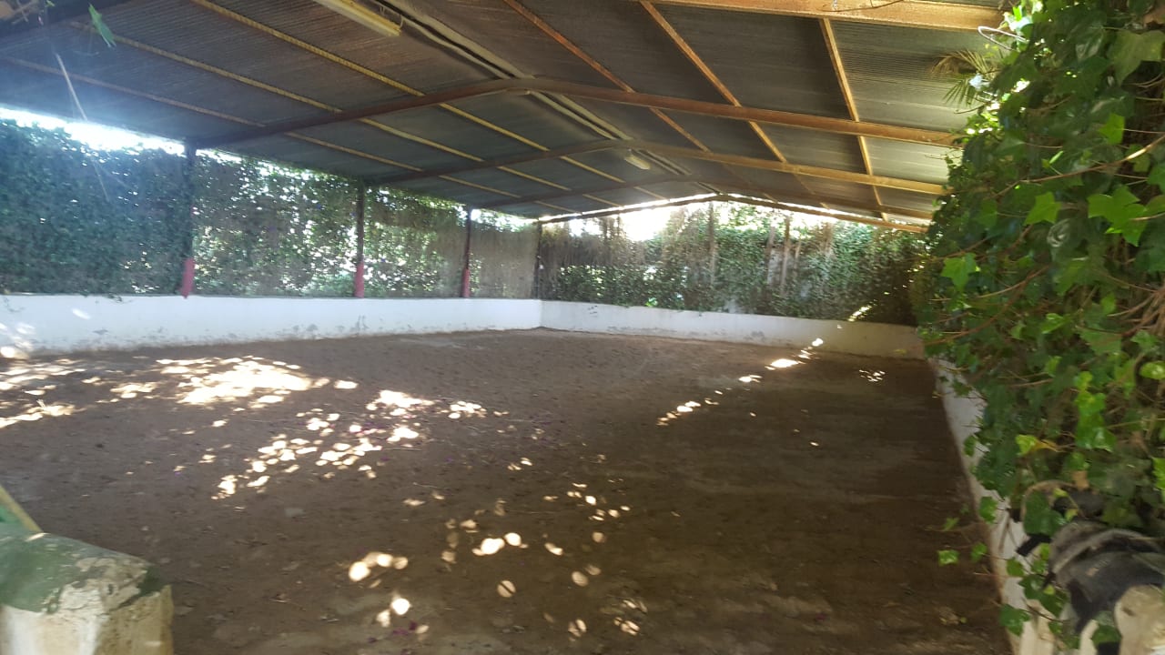 Reithalle Picadero Fuente del Gallo