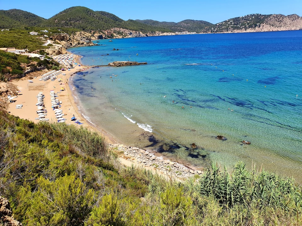 Ausblick Sentido Cala Verde Playa Des Figueral Holidaycheck Ibiza Spanien