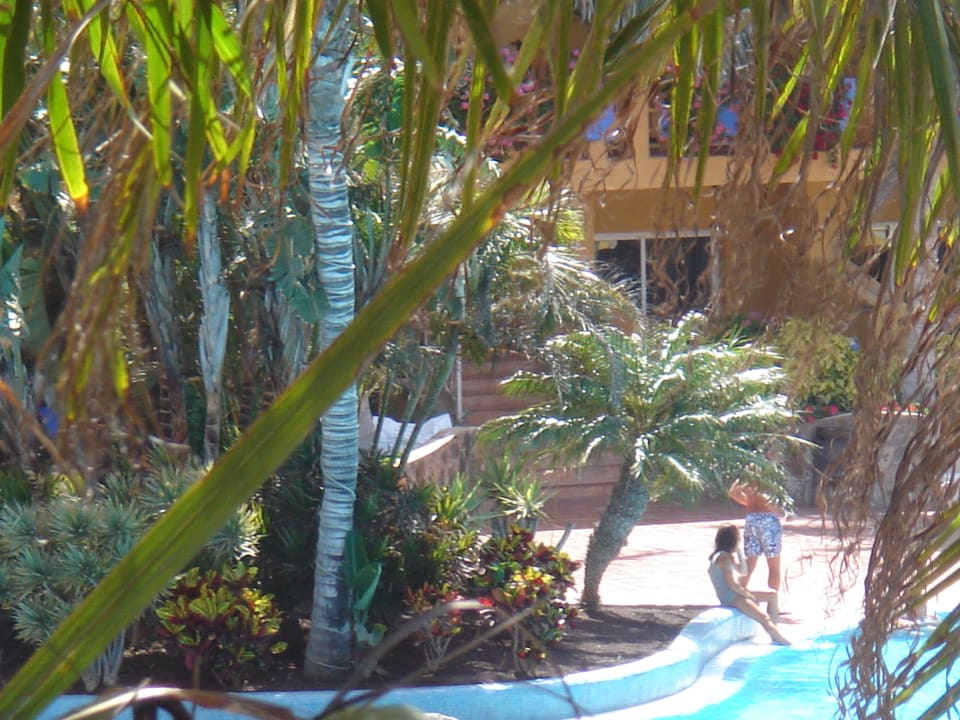 Schöne Gartenanlage Club Hotel Drago Park