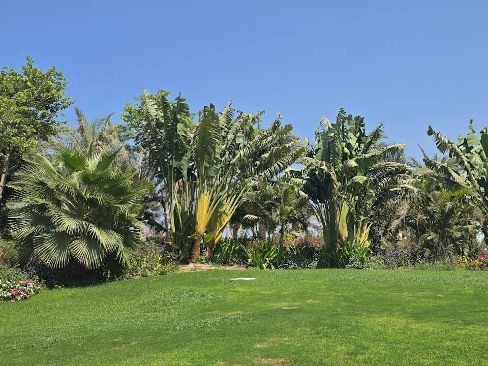 Gartenanlage Lazuli Hotel Marsa Alam