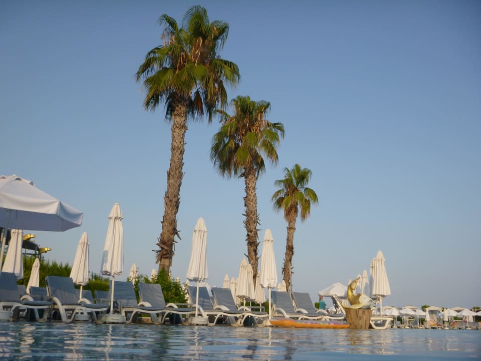 Freie Liegen am Abend! Hotel Delphin Imperial