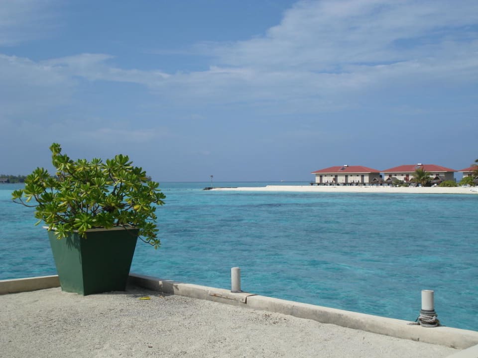 Bootsanleger Summer Island Maldives