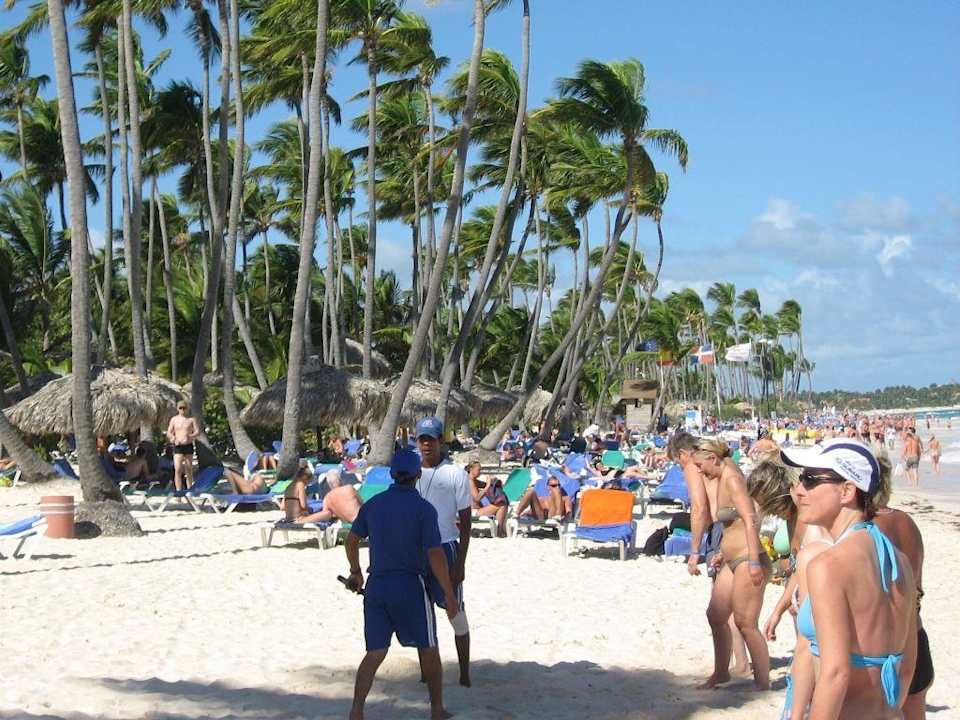 Der "einsame Traumstrand" mit Sardinen-Feeling Grand Palladium Select Bávaro Resort & Spa