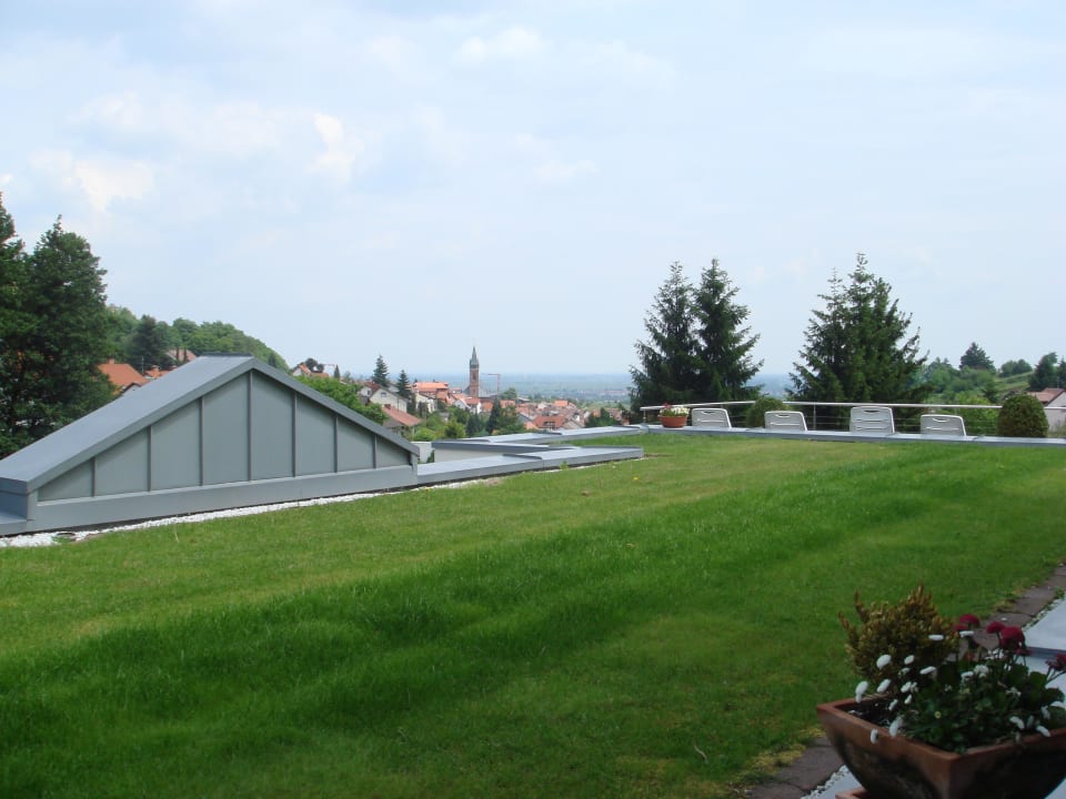 Vom Balkon des Zimmers 14 auf St. Matin Wiedemann's Weinhotel