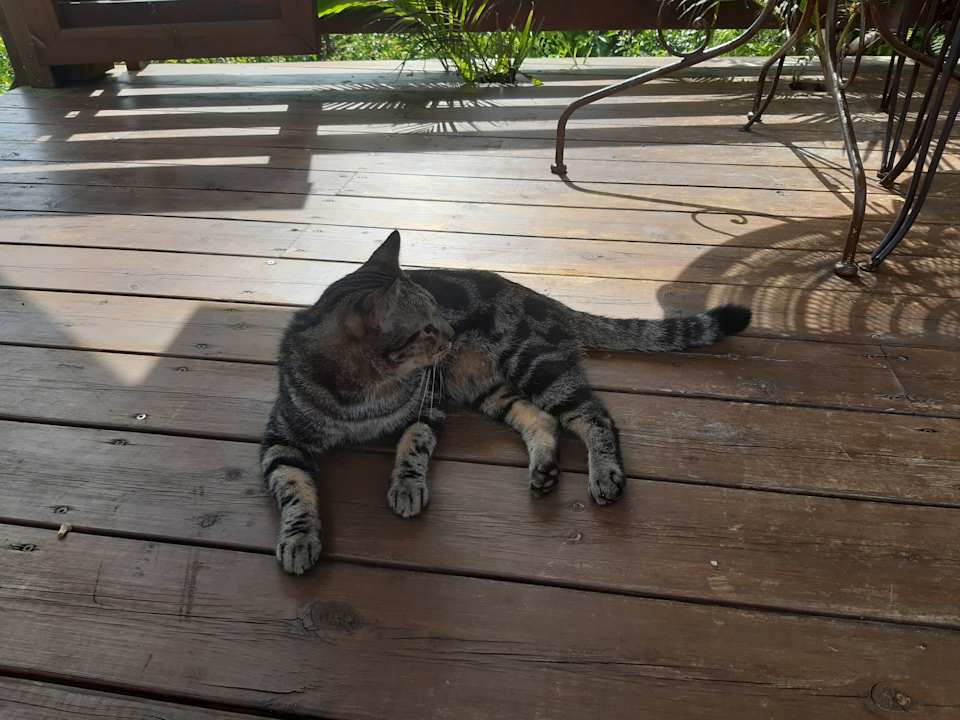 Sonstiges La Plantation côté sud