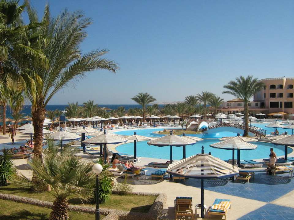 Pool Beach Albatros Resort