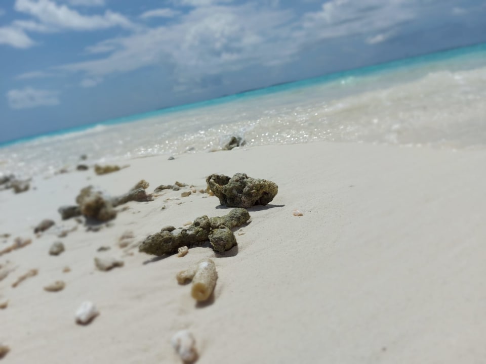 Strand Embudu Village