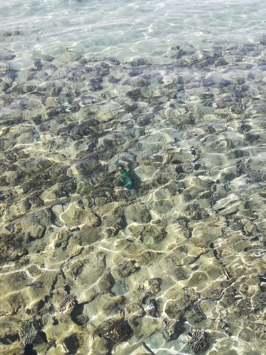 Strand Pickalbatros Dana Beach Resort - Hurghada