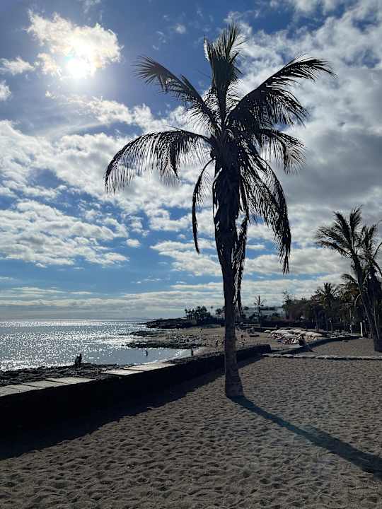 Strand allsun App.-Hotel Albatros