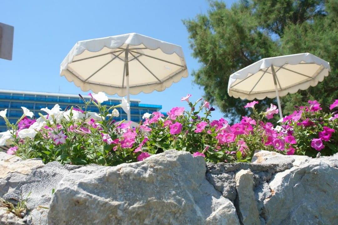 Nettes Gartendetail Hotel Calypso Beach