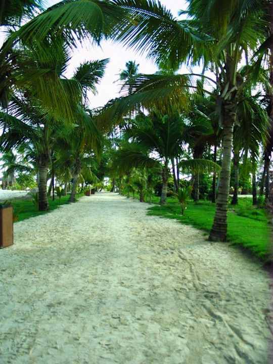 Weg zum Strand Villas Bavaro Resort & Spa