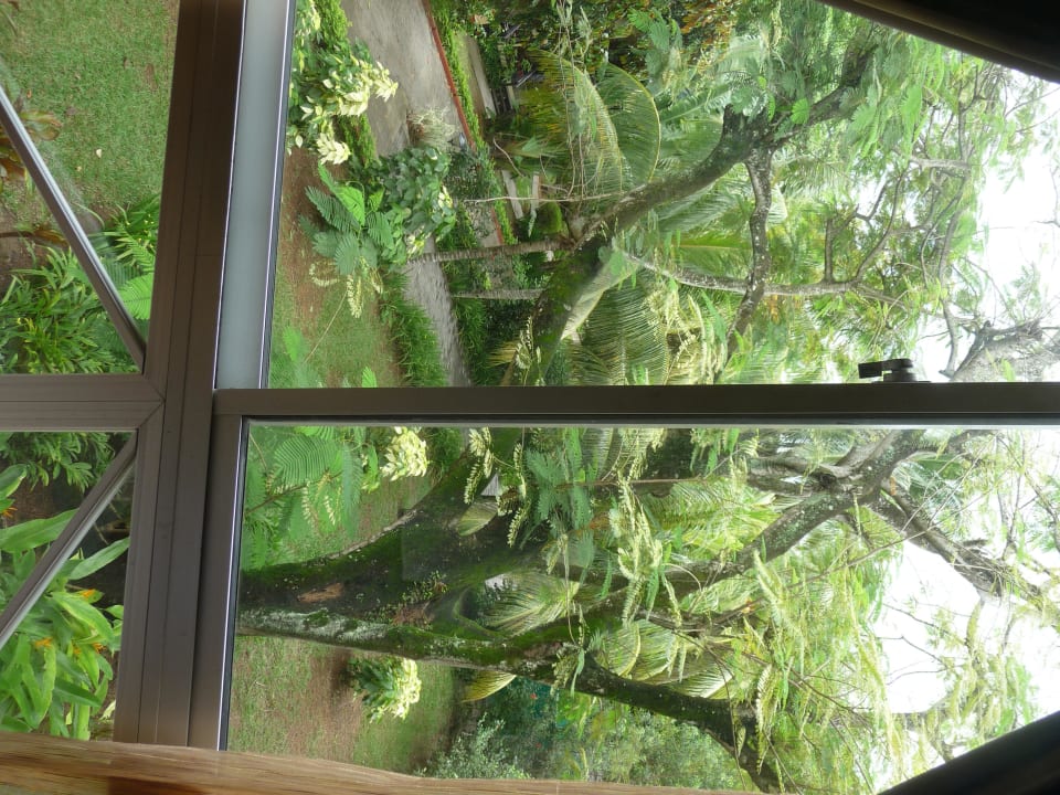 Ausblick vom Zimmer Berjaya Beau Vallon Bay Resort & Casino