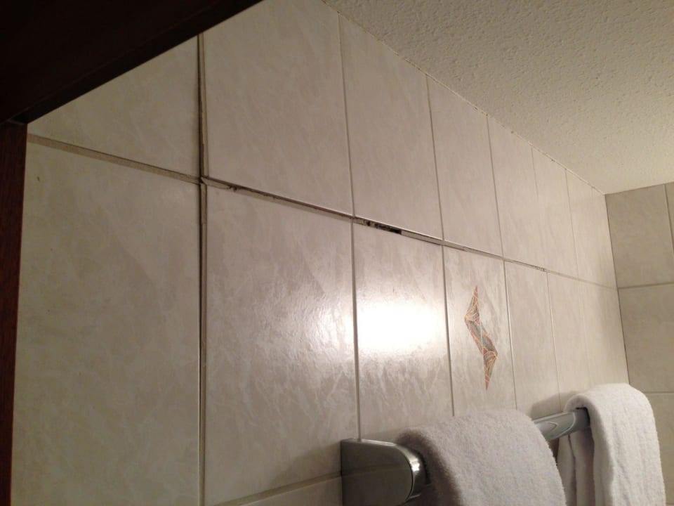 Dormotel Europa ibis Styles Halle