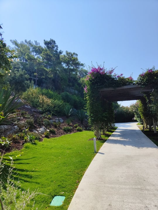 Gartenanlage TUI BLUE Sarigerme Park