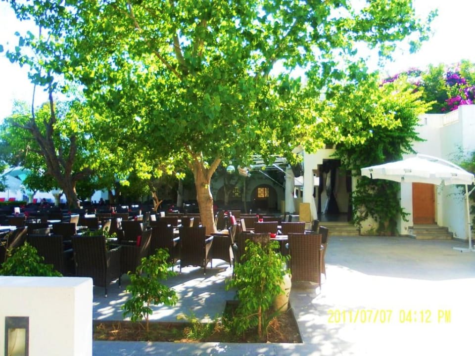 Terrasse am Haupthaus (hinten gehts zur Bar Jasmin) The Orangers Beach Resort and Bungalows