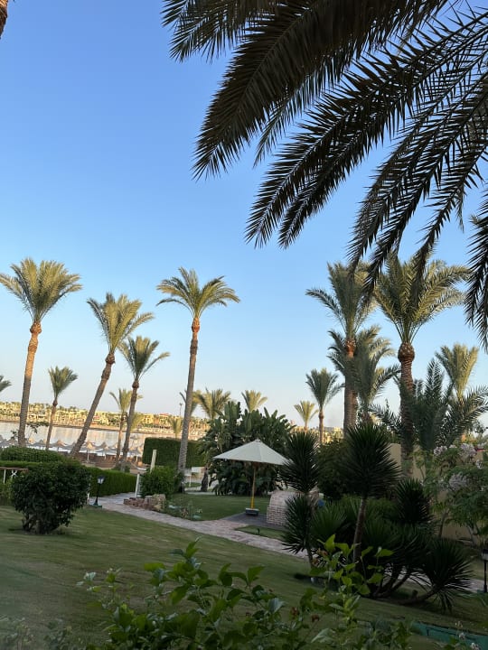 Gartenanlage Steigenberger Coraya Beach - Adults only