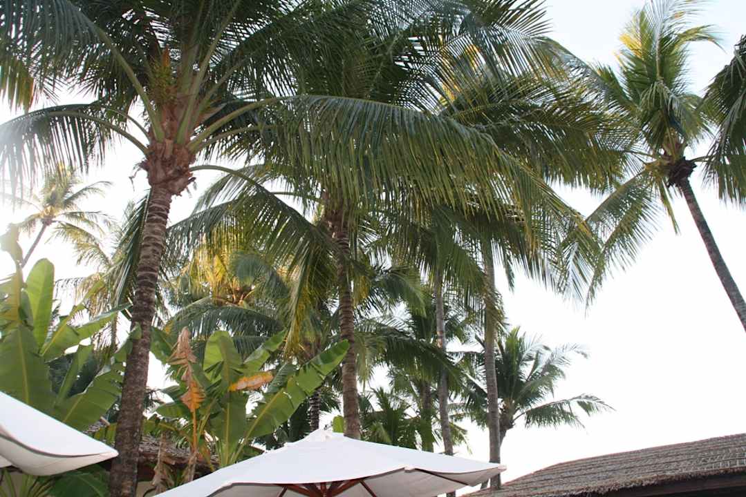 Sonstiges Bayview - the beach resort